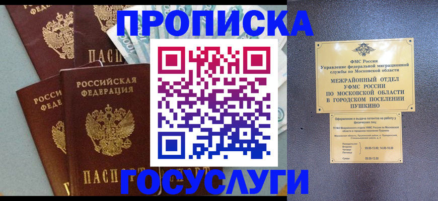 прописка гарантия в Хвалынске